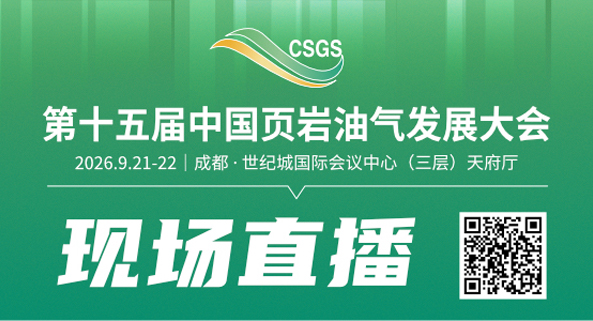 油气发展大会